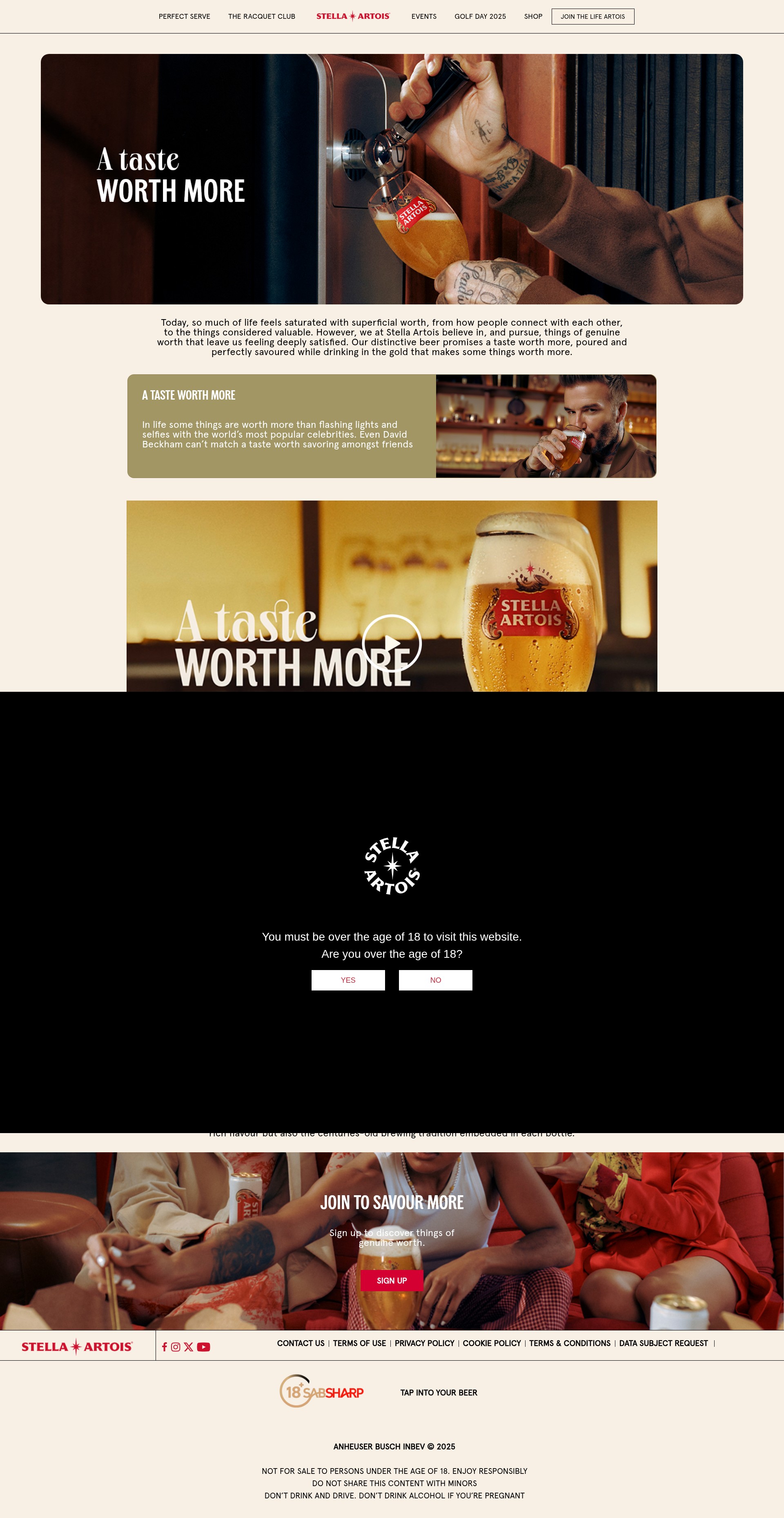 Screenshot of www.stellaartoisafrica.com