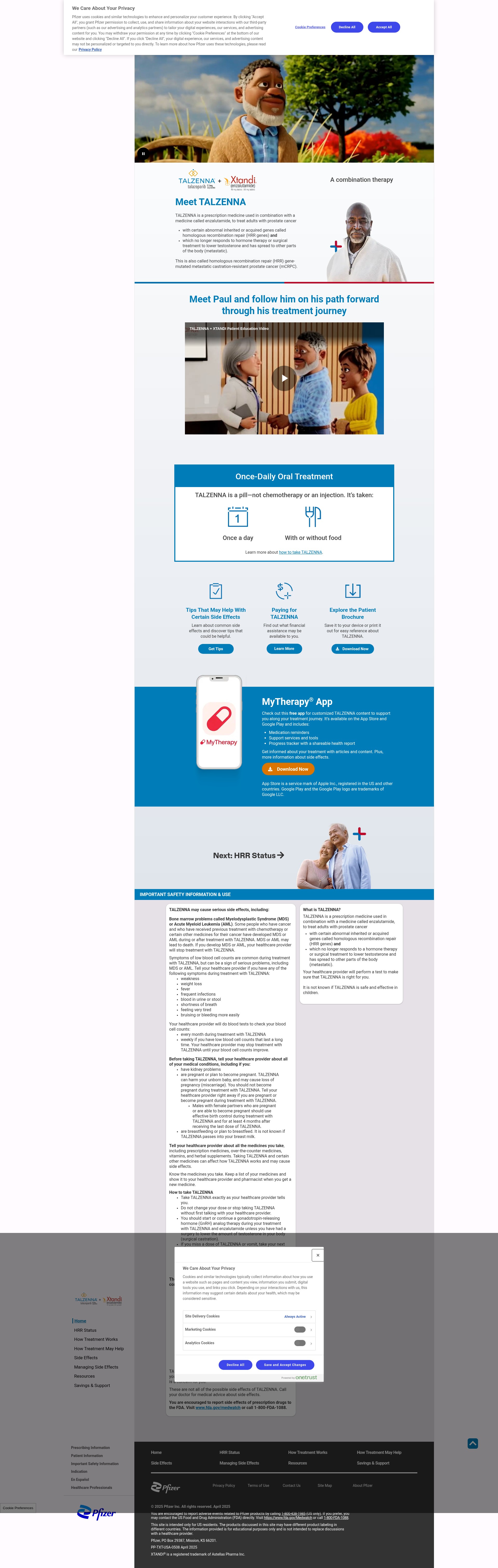 Screenshot of www.talzennaxtandi.com