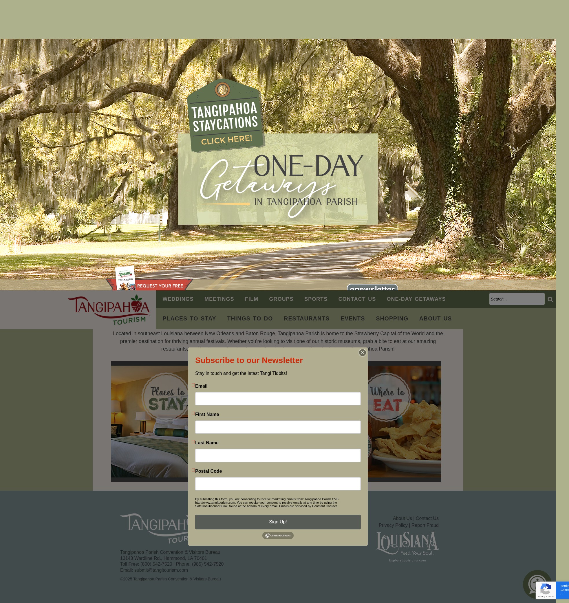 Screenshot of www.tangitourism.com