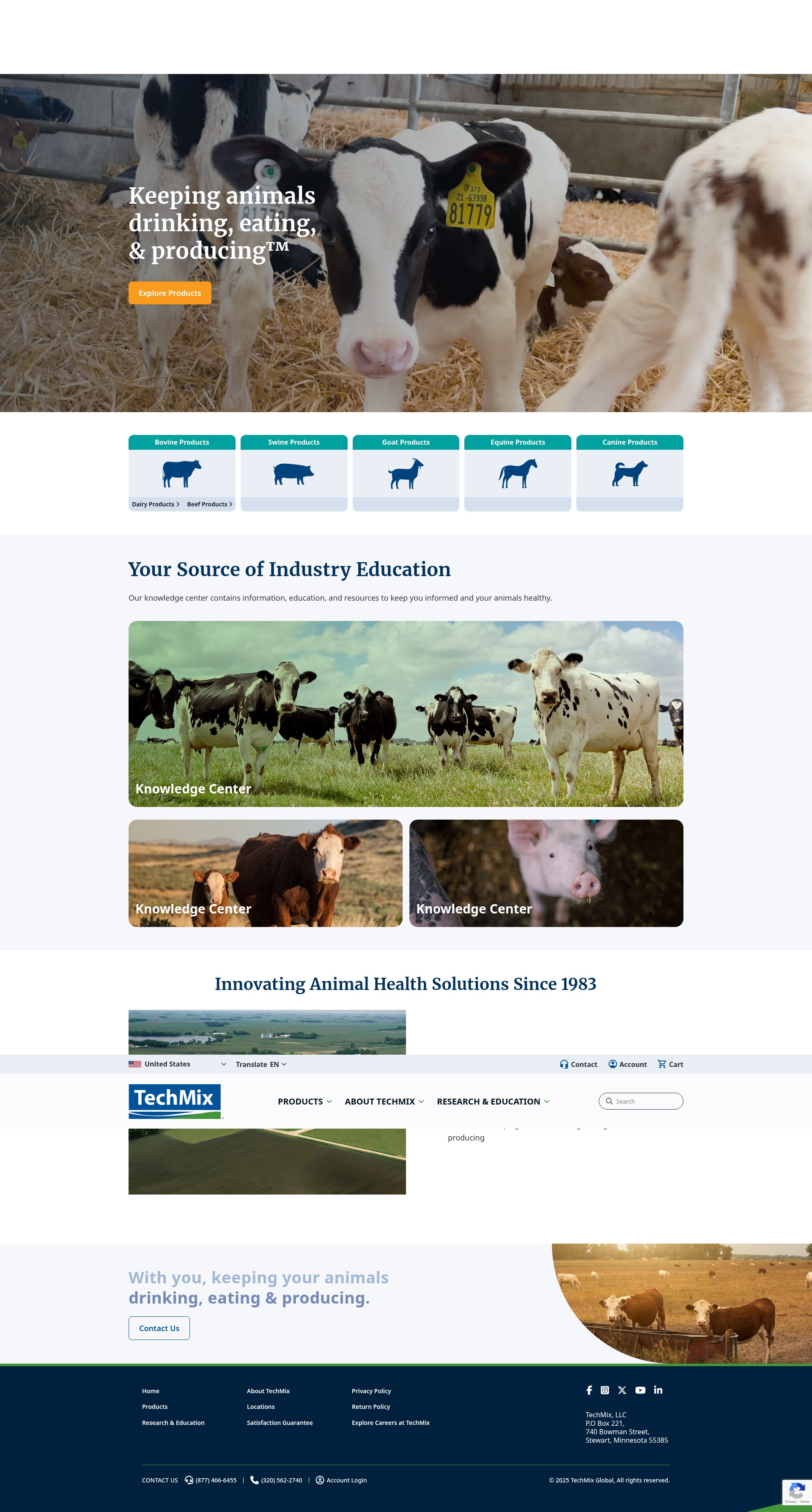 Screenshot of www.techmixglobal.com