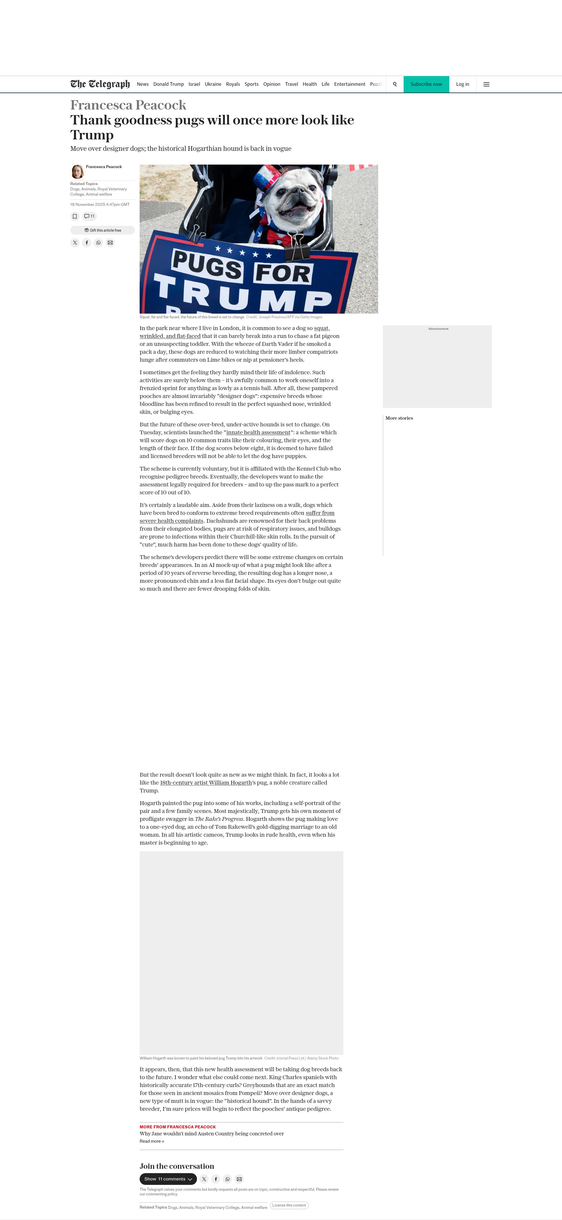 Screenshot of www.telegraph.co.uk