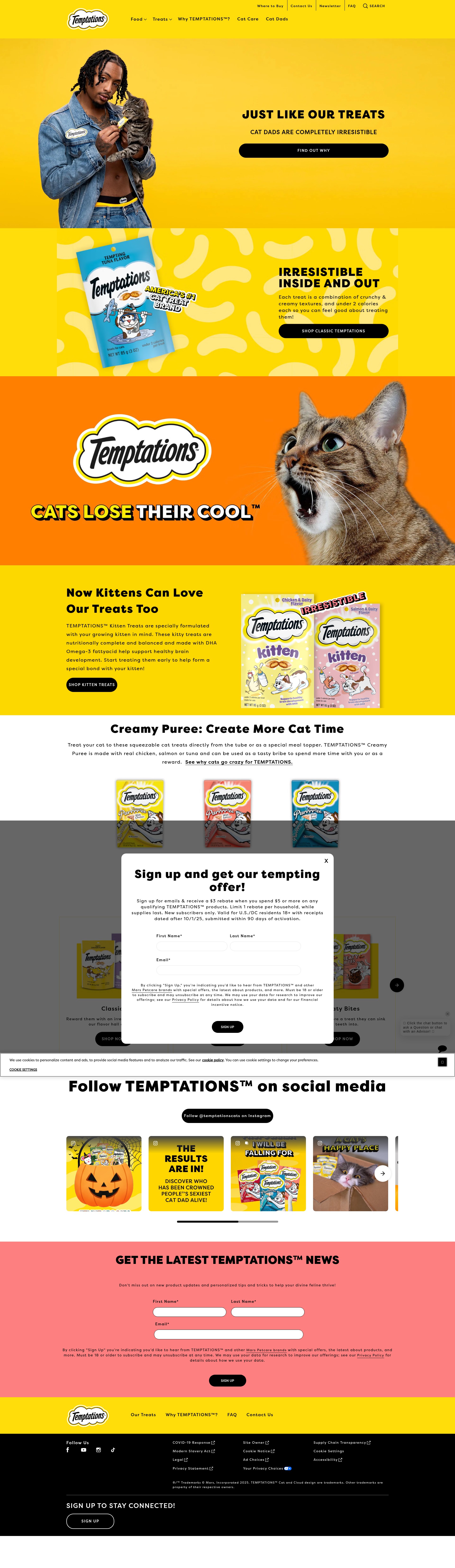 Screenshot of www.temptationstreats.com