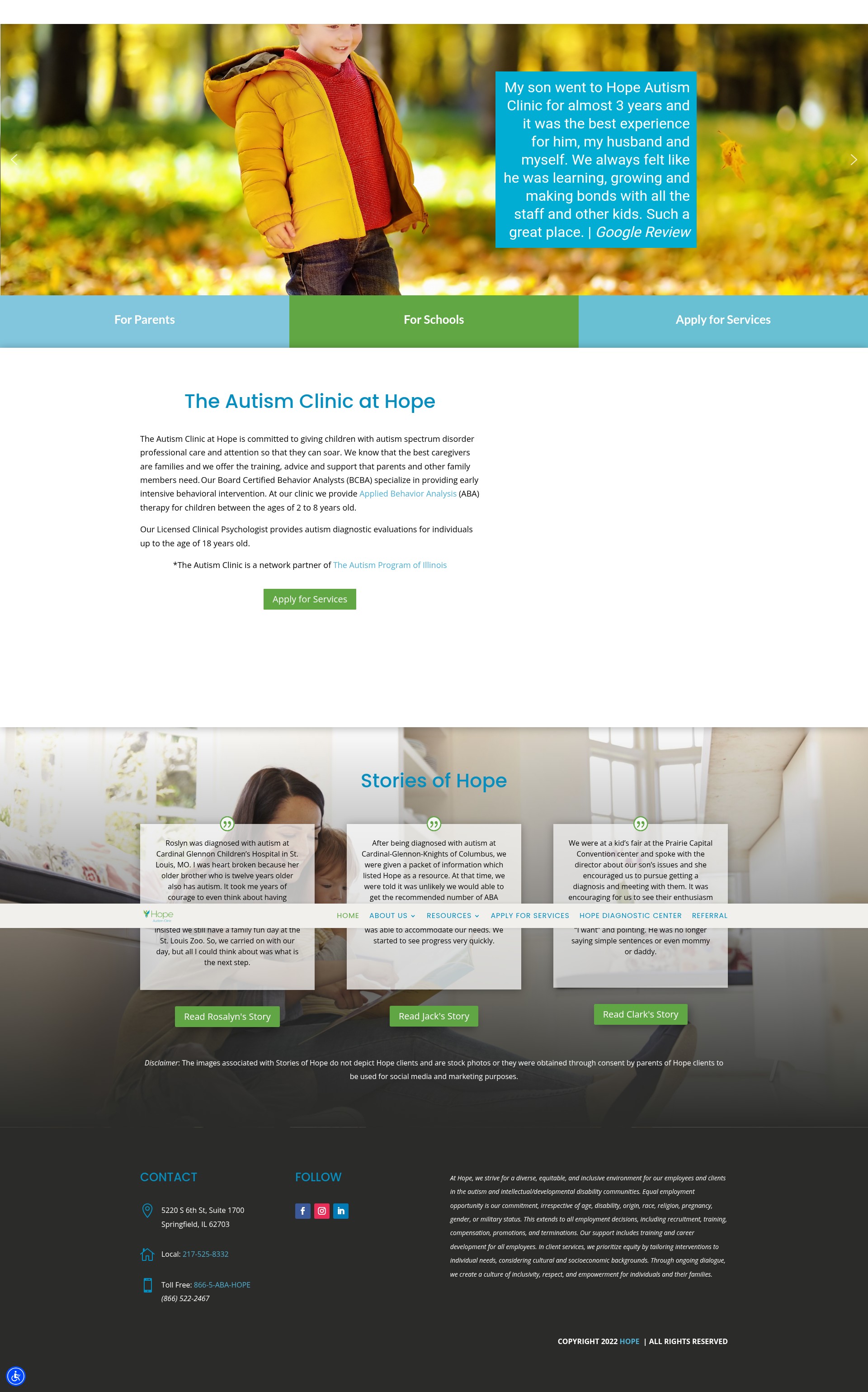 Screenshot of www.theautismclinic.org