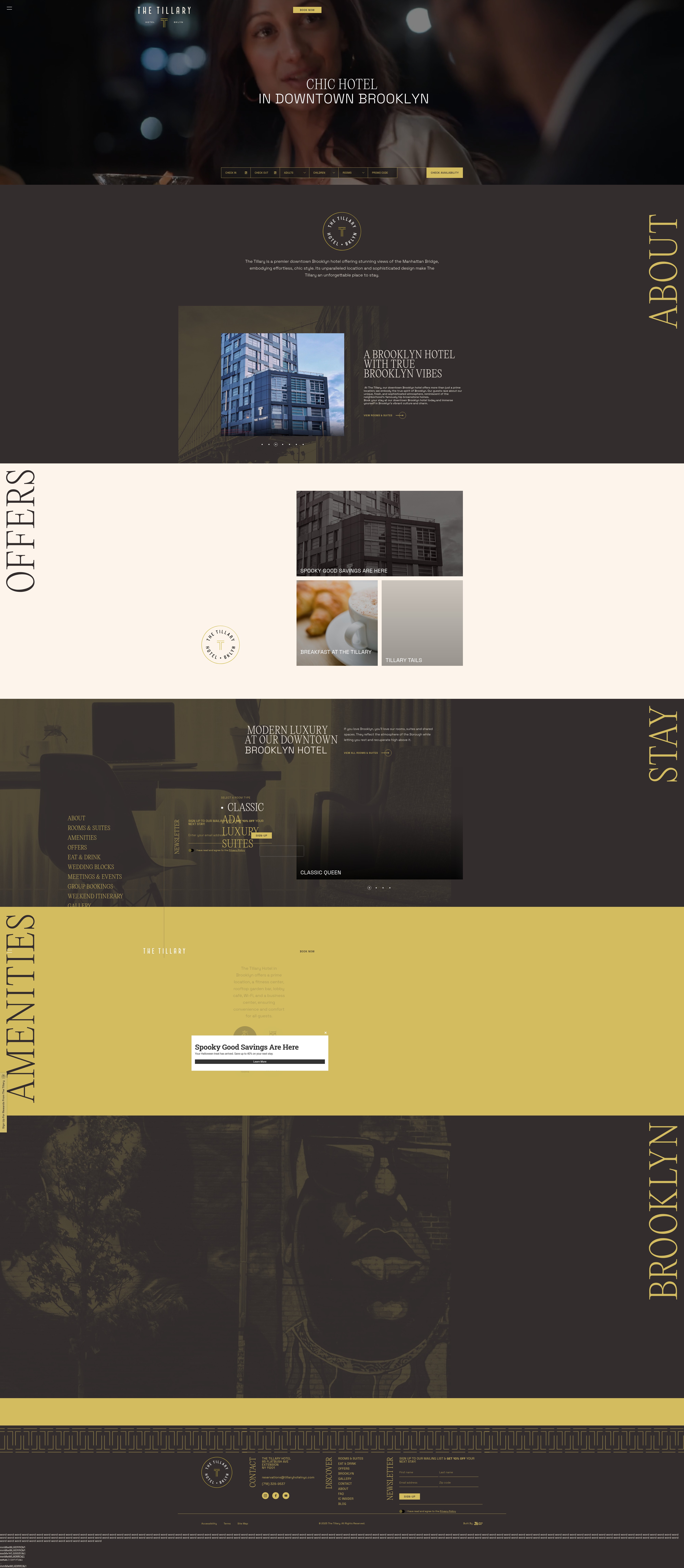 Screenshot of www.tillaryhotelnyc.com