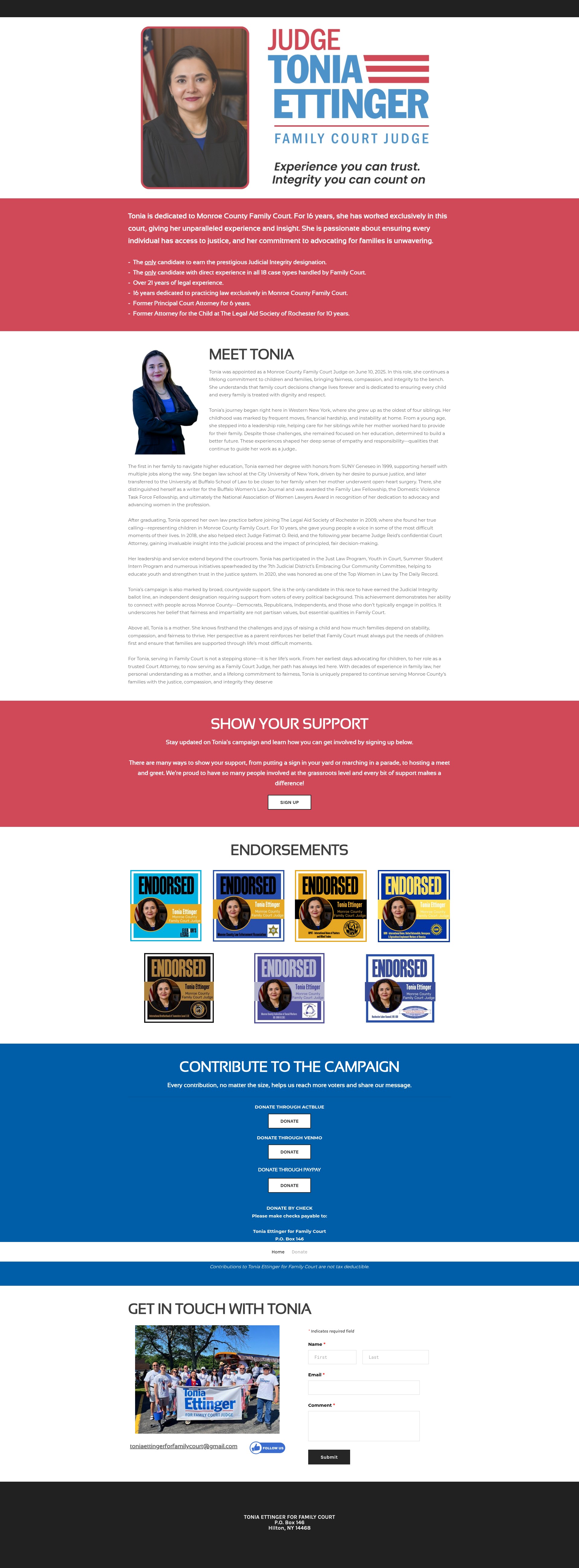 Screenshot of www.toniaforfamilycourt.com
