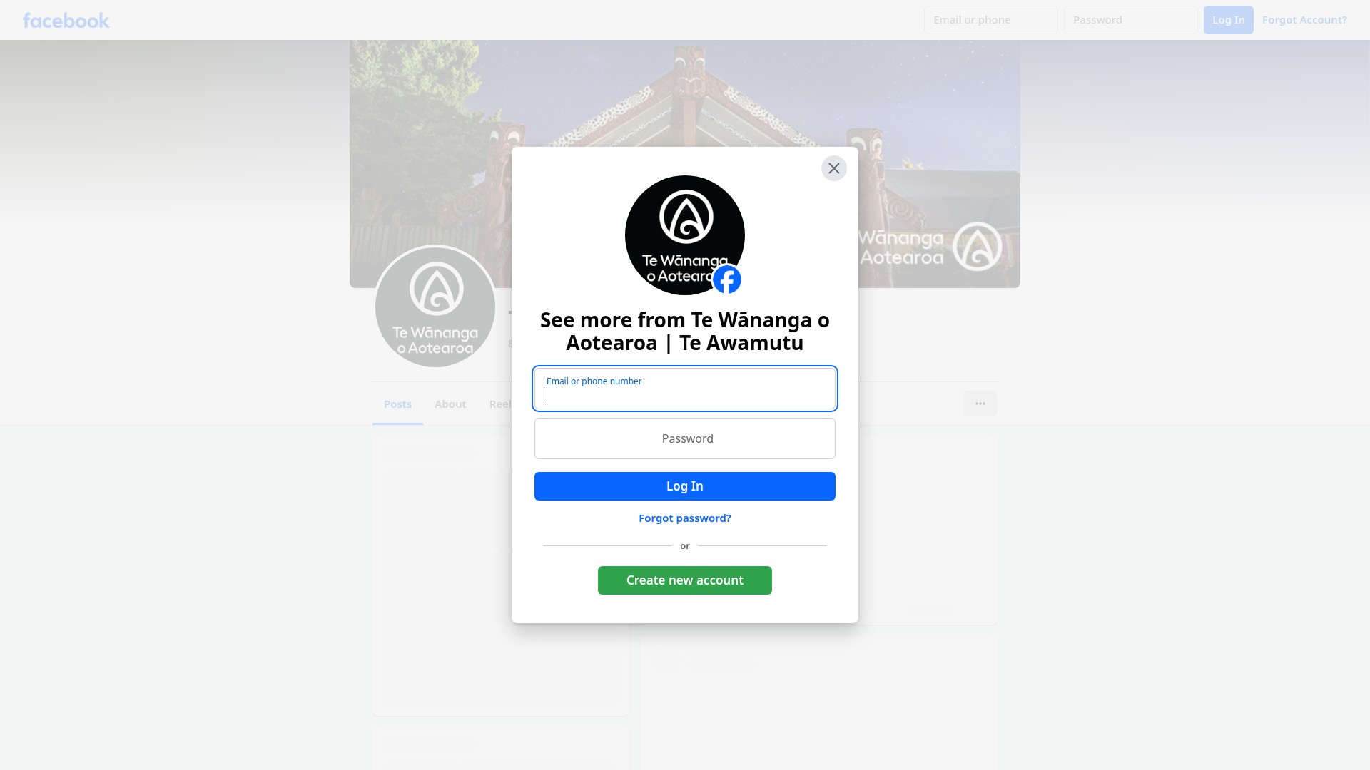Screenshot of www.twoa.ac.nz