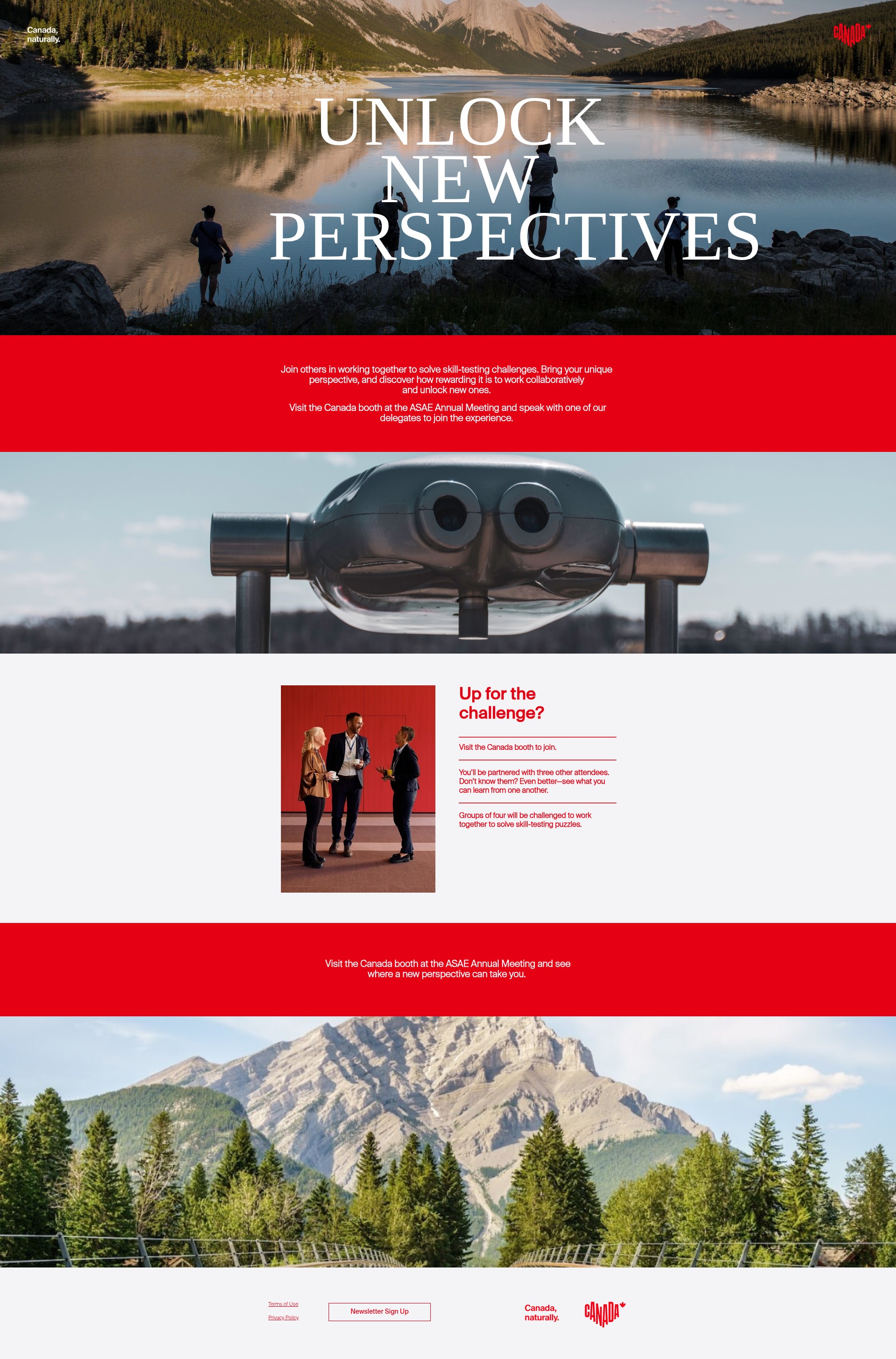 Screenshot of www.unlockingnewperspectives.com