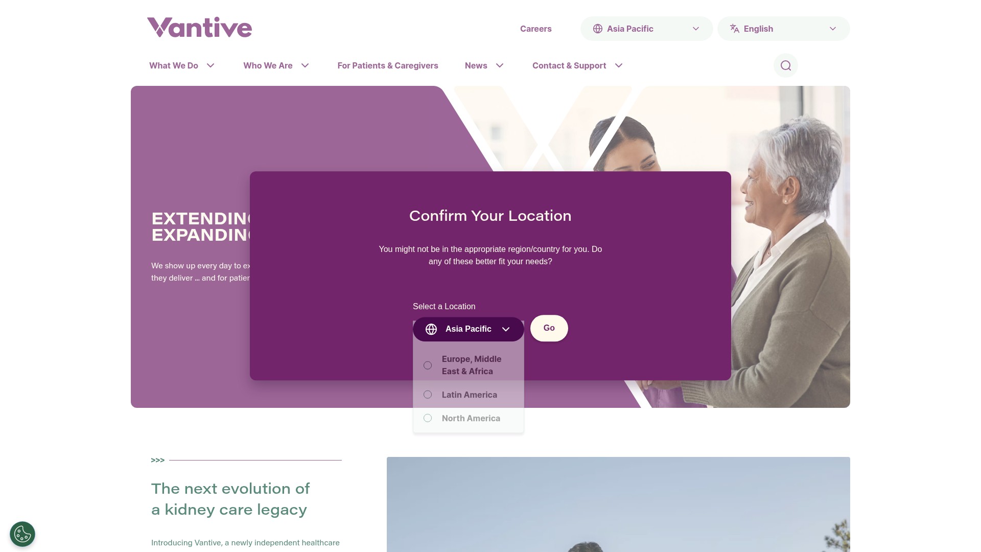 Screenshot of www.vantive.asia