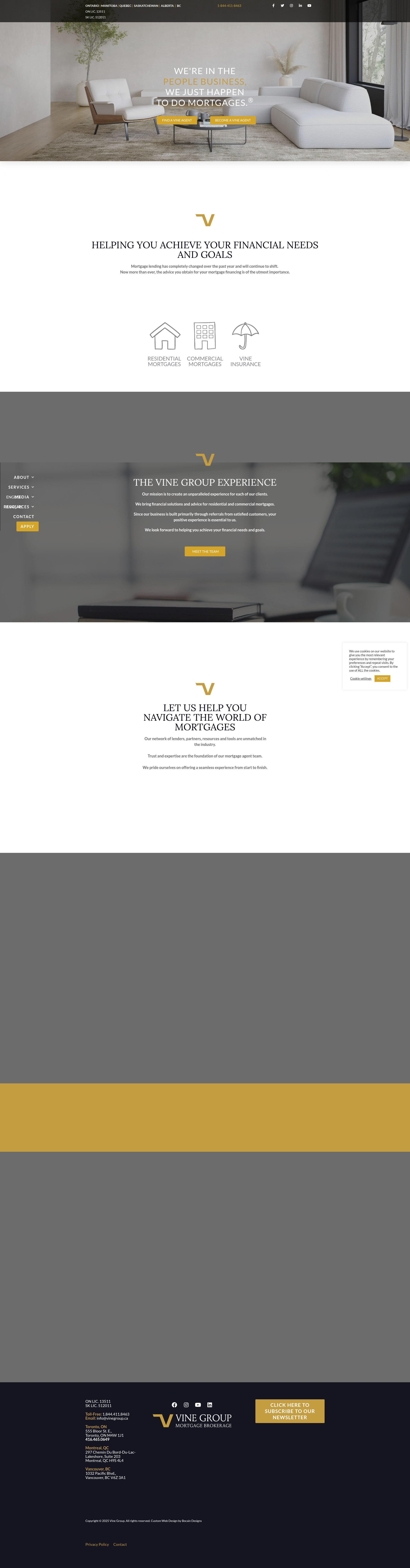 Screenshot of www.vinegroup.ca