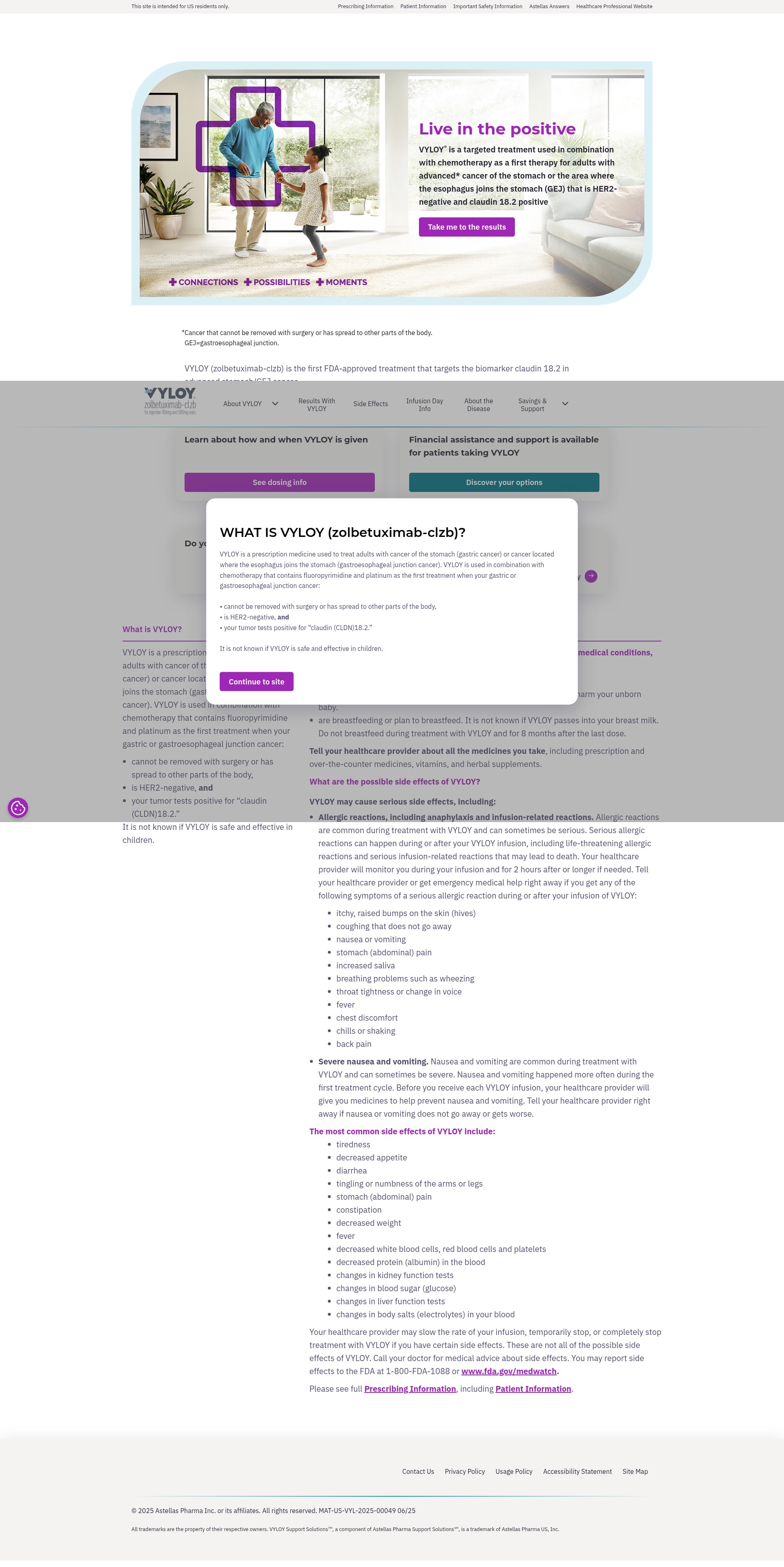 Screenshot of www.vyloy.com