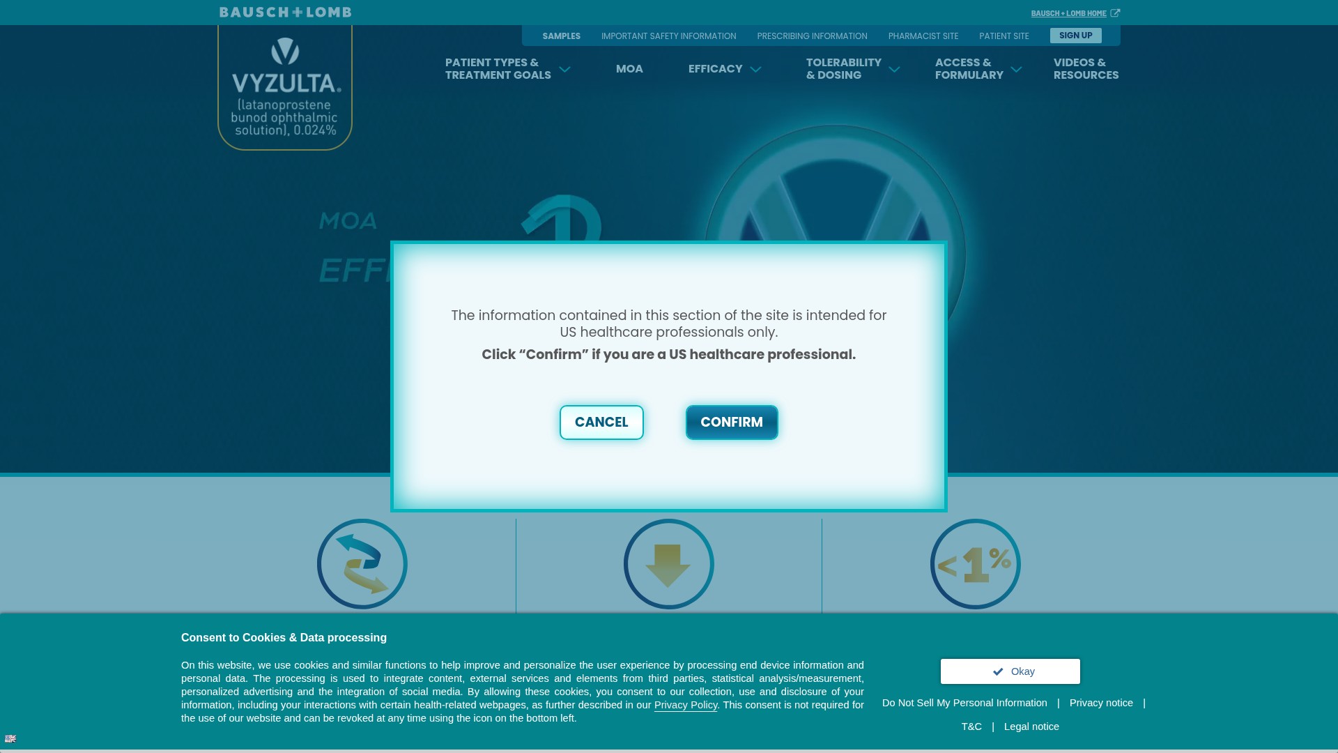 Screenshot of www.vyzultahcp.com