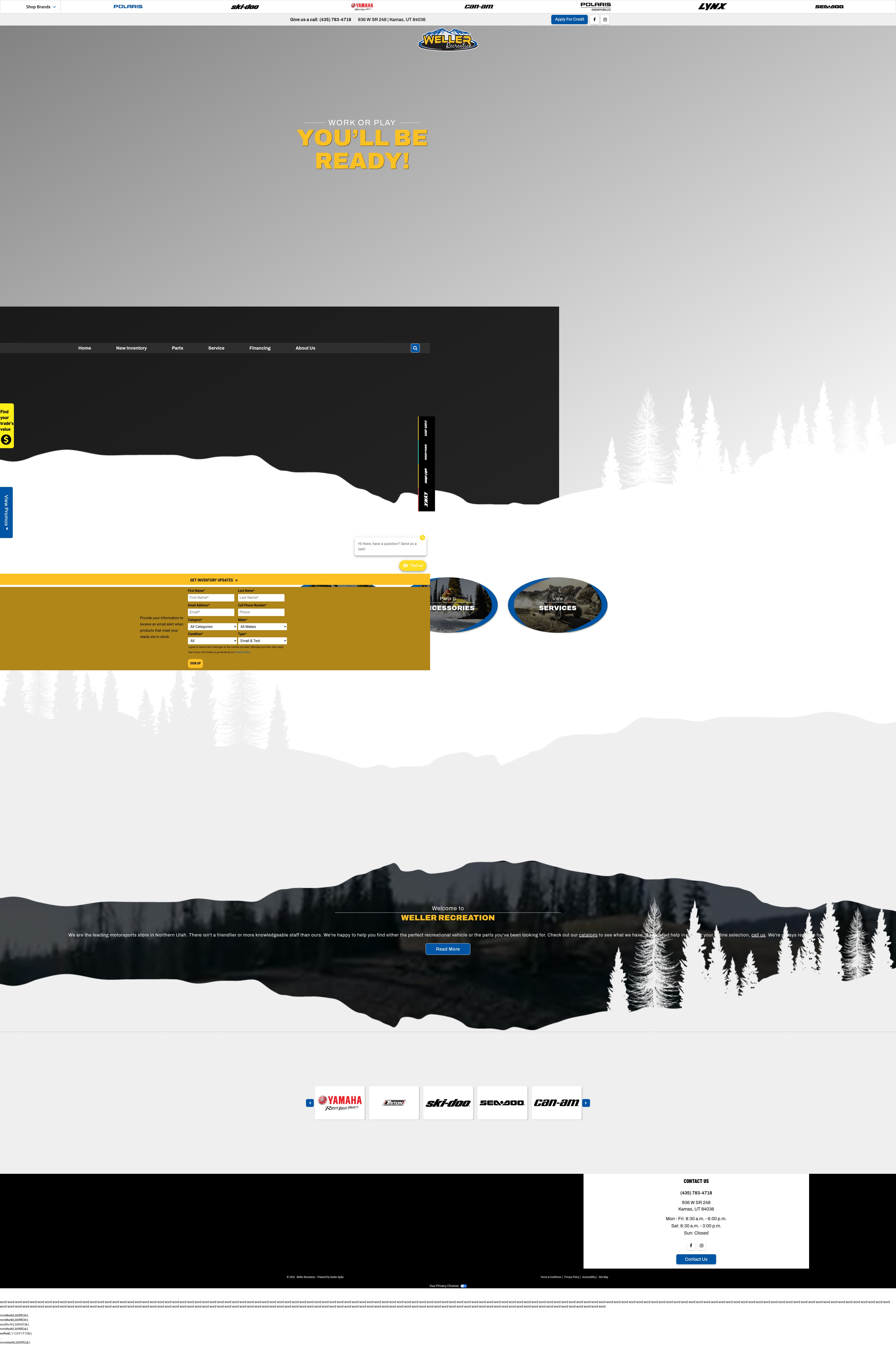 Screenshot of www.wellerrec.com