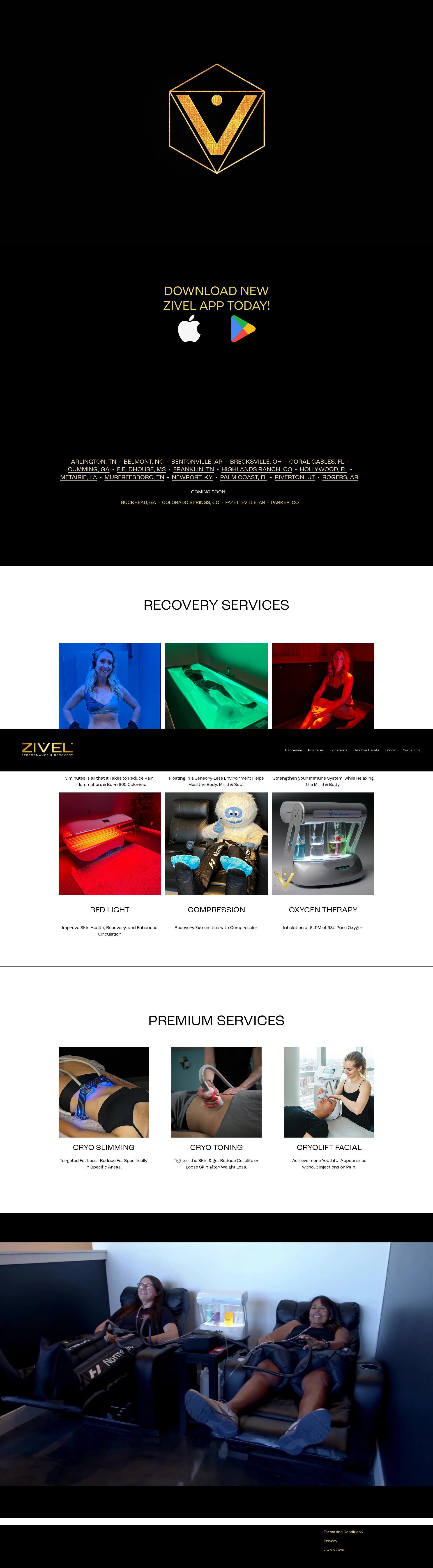 Screenshot of www.zivel.com