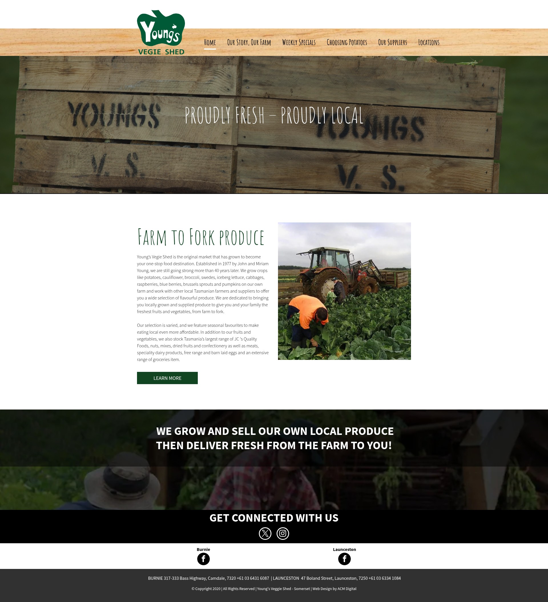 Screenshot of youngsvegieshed.com