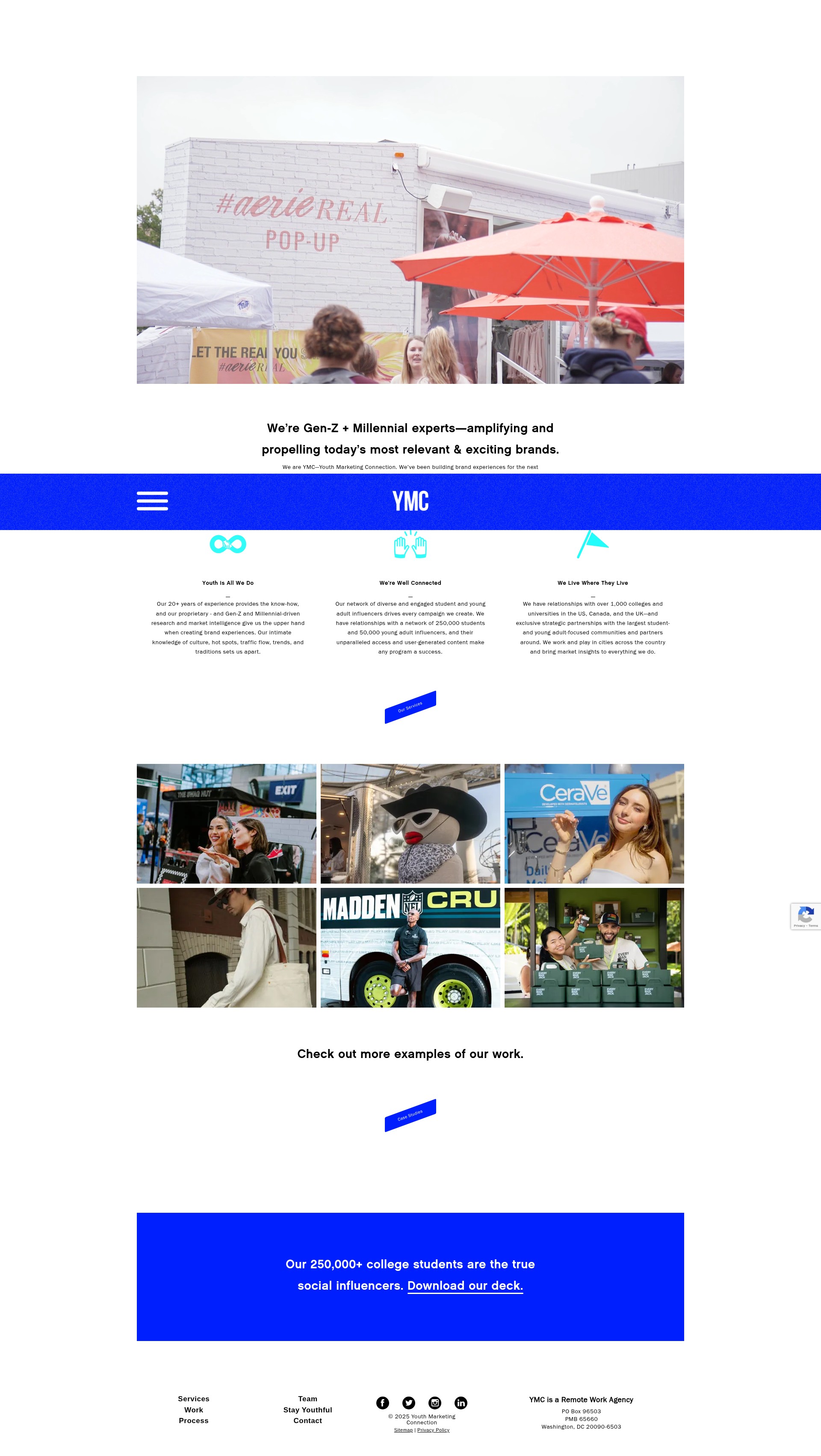 Screenshot of youthmarketing.com