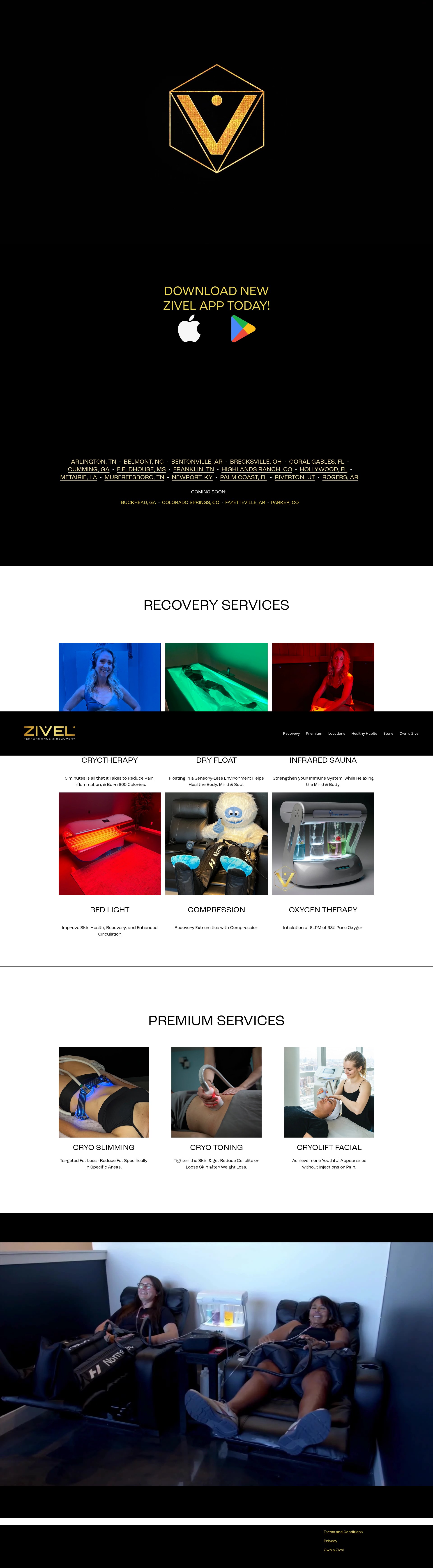 Screenshot of zivel.com