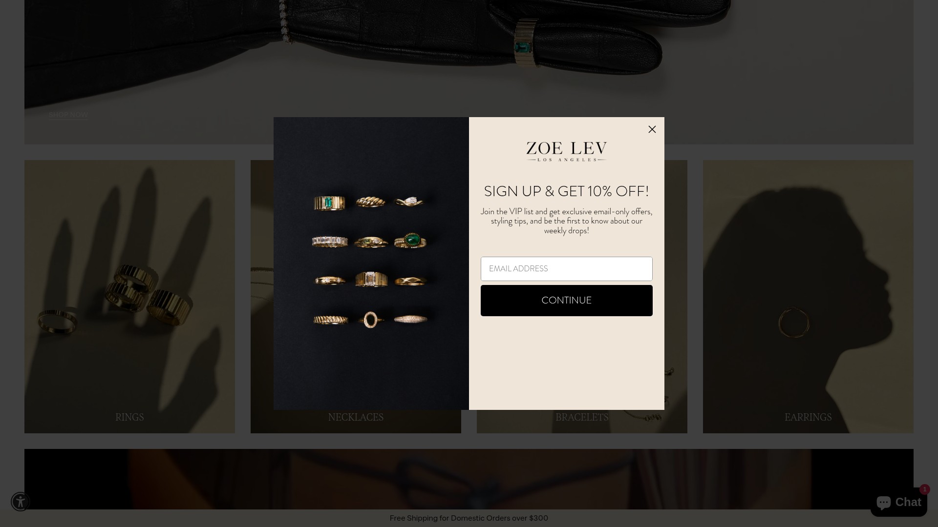 Screenshot of zoelev.com